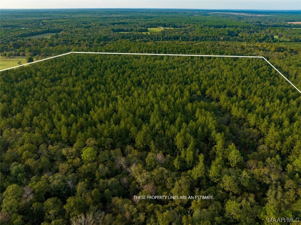 10 County Road 10 Samson, AL 36477 - Photo 20 of 22 Gallery Image 20