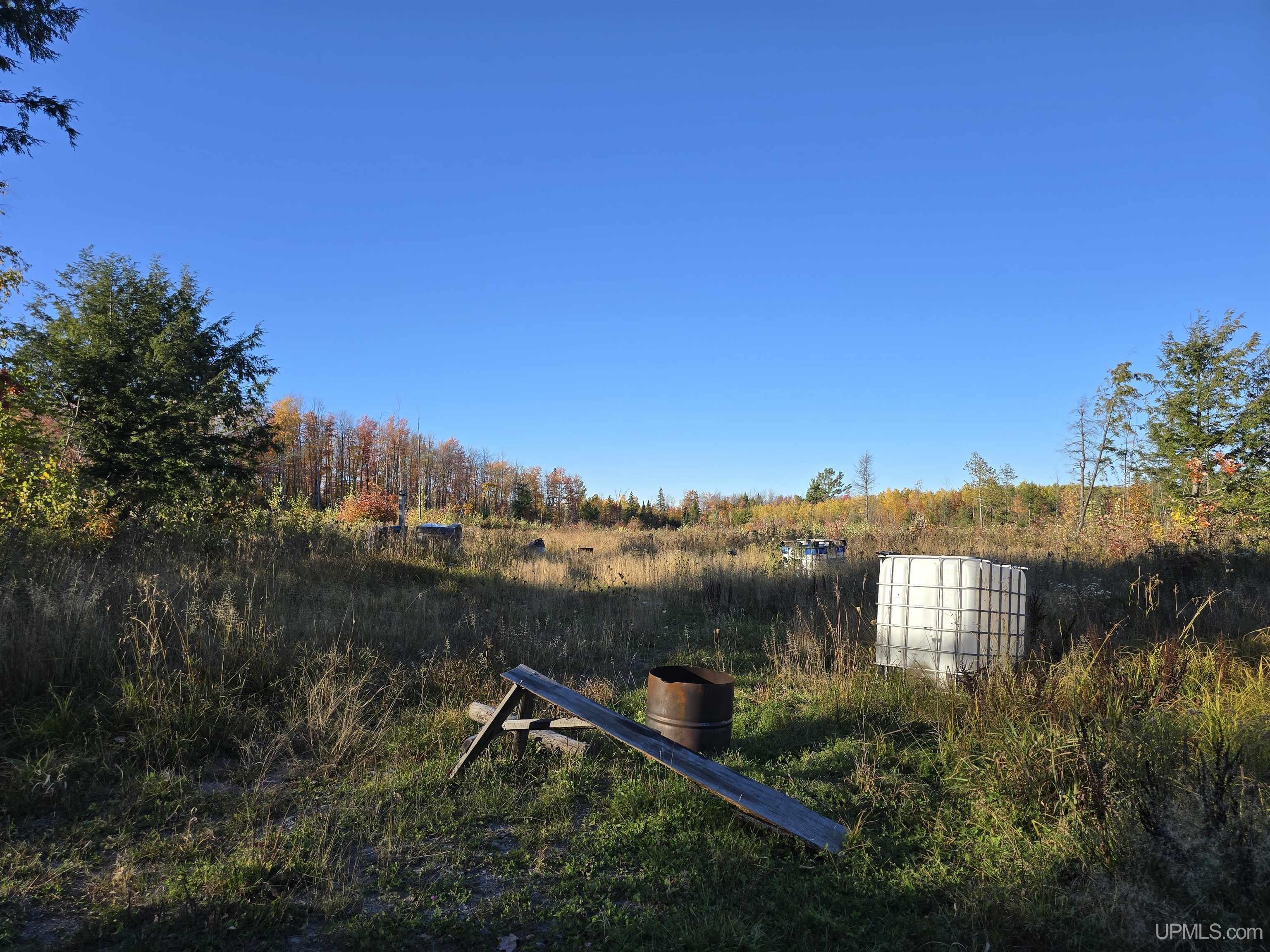 Tbd Beartown Road Baraga, MI 49908 - Photo 4 of 32 Gallery Image 4