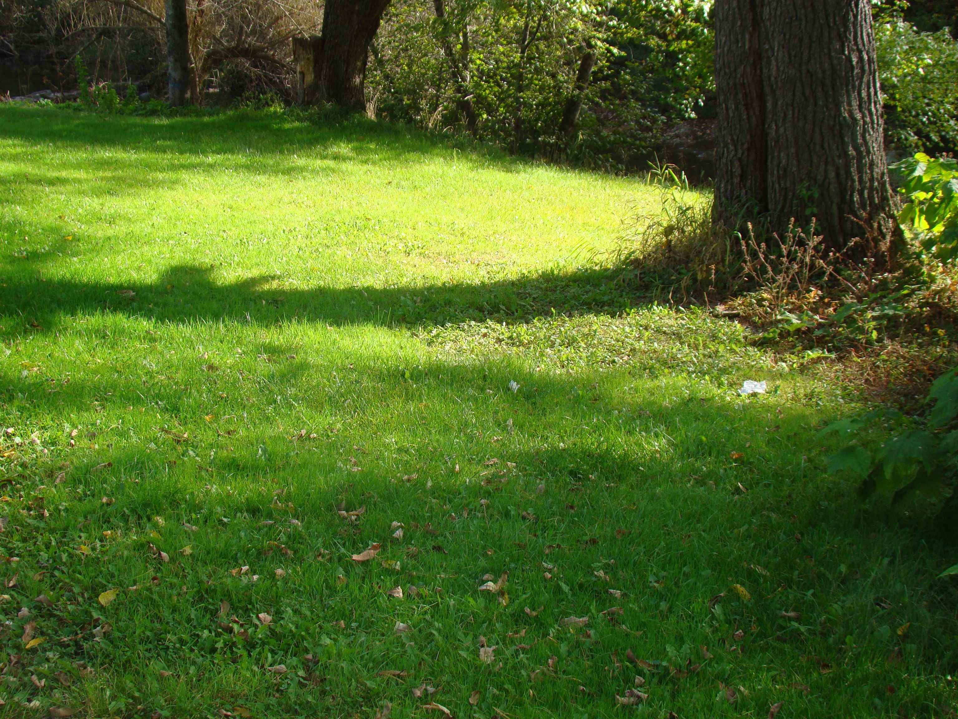 2122 Highway 140 Poultney, VT 05764 - Photo 4 of 22