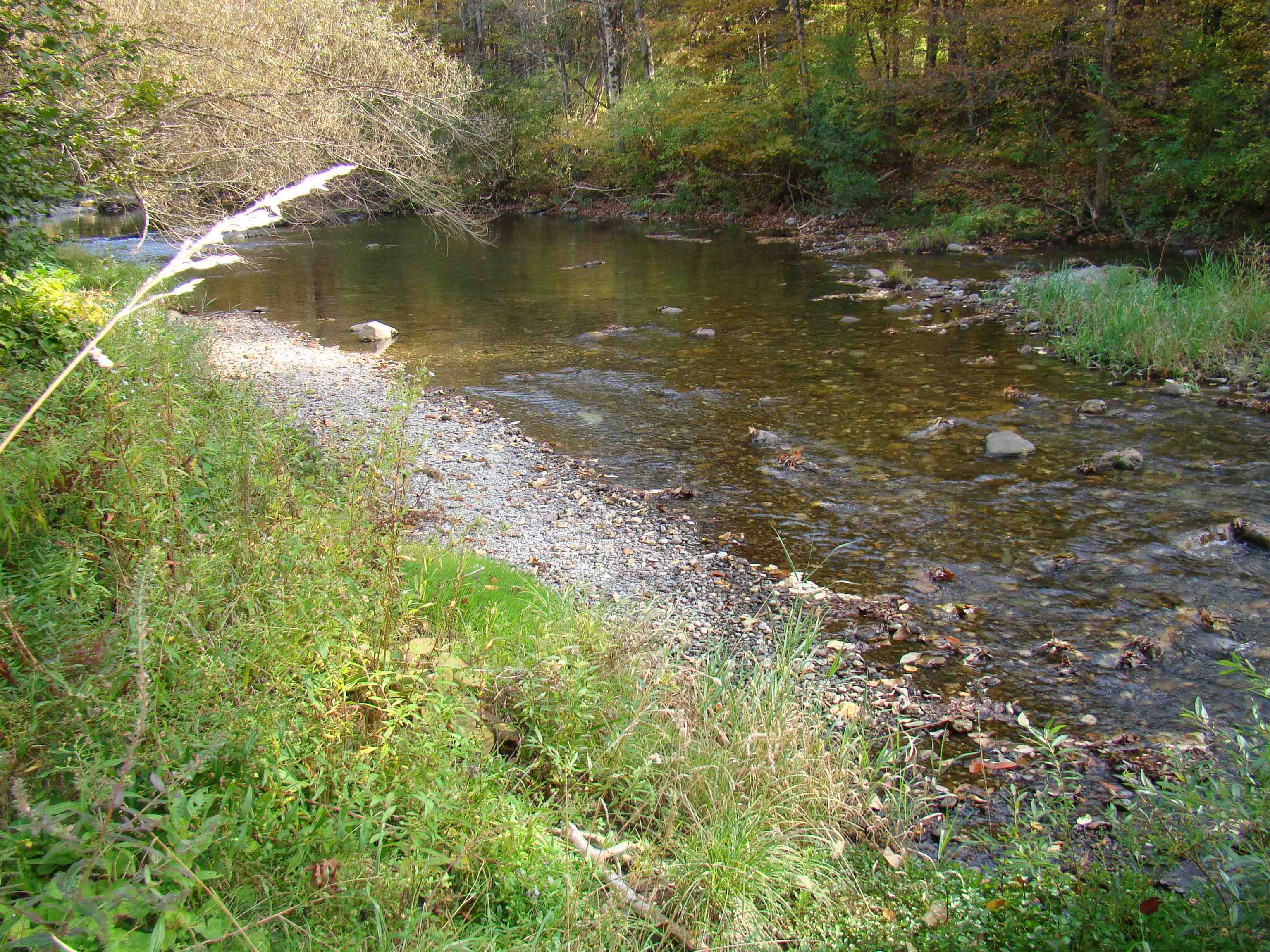 2122 Highway 140 Poultney, VT 05764 - Photo 6 of 22