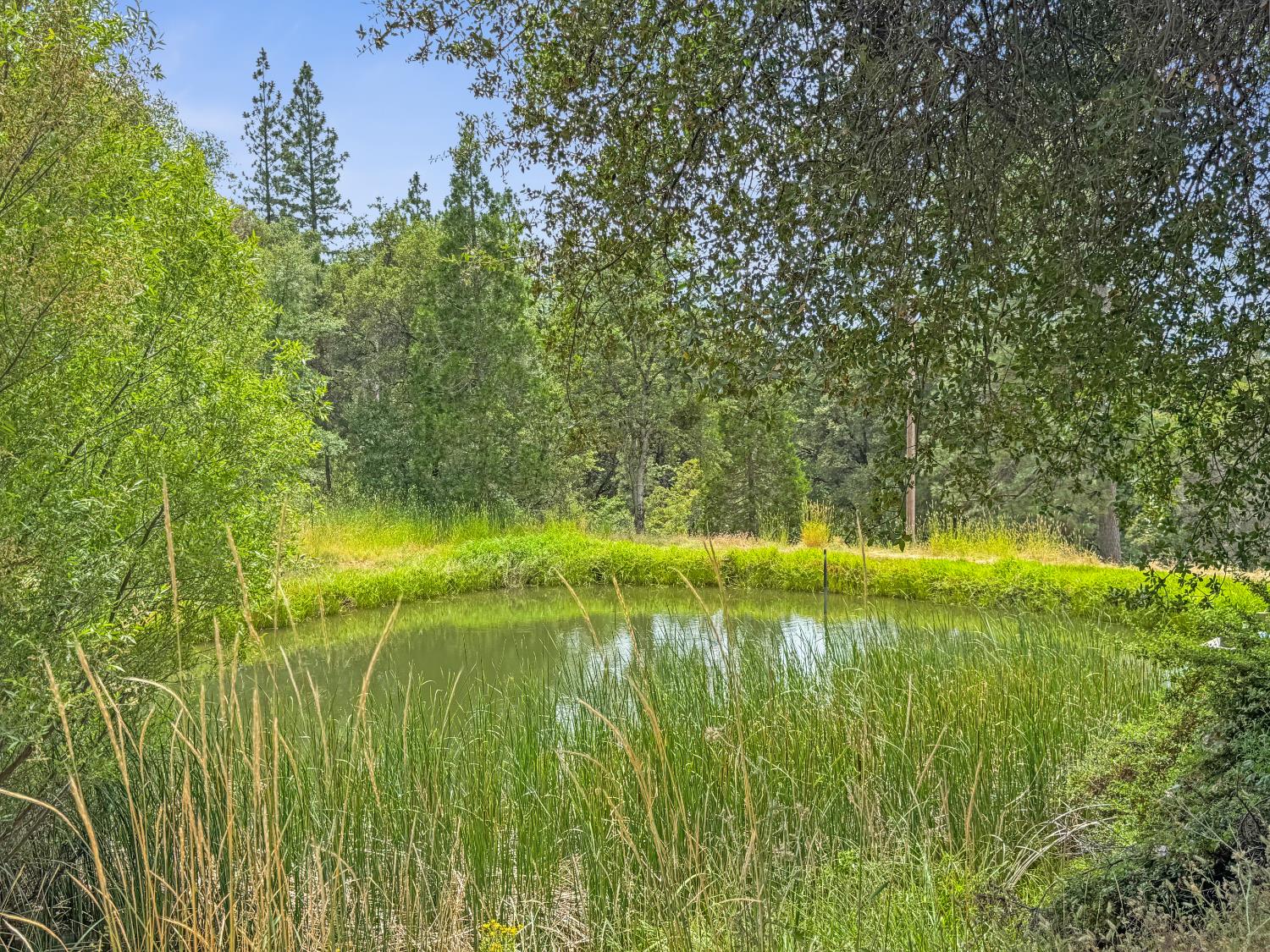 15655 Rough And Ready Highway Rough and Ready, CA 95975 - Photo 2 of 48 a view of a lake view