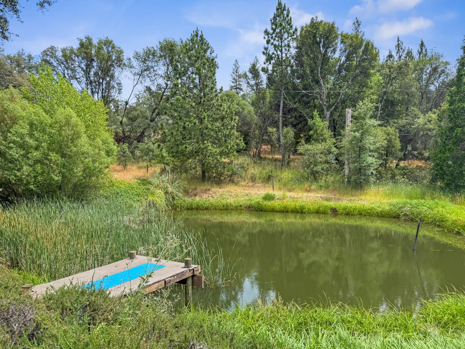 15655 Rough And Ready Highway Rough and Ready, CA 95975 - Photo 3 of 48 a view of lake with green space