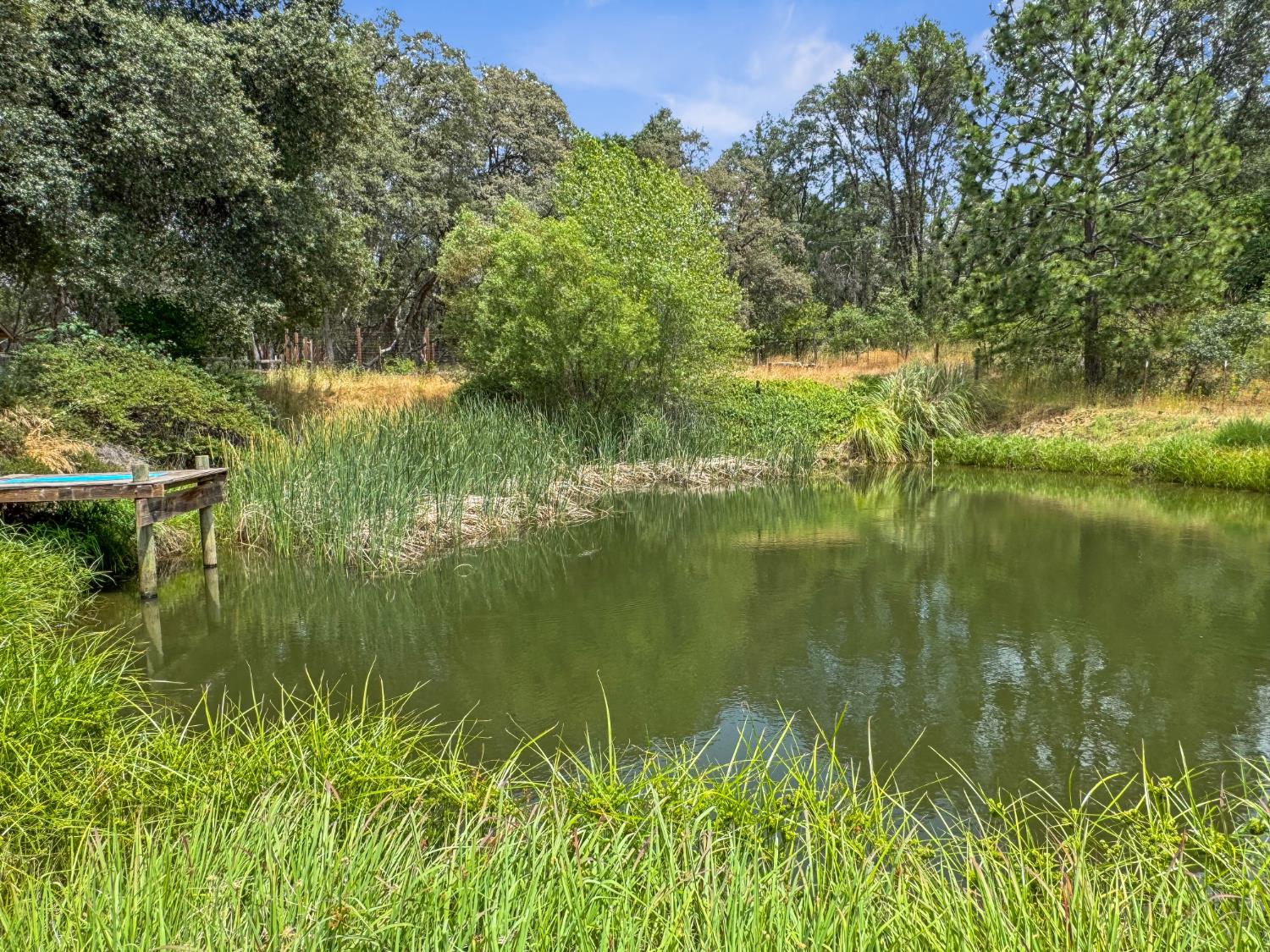 15655 Rough And Ready Highway Rough and Ready, CA 95975 - Photo 38 of 48 a view of lake background with house