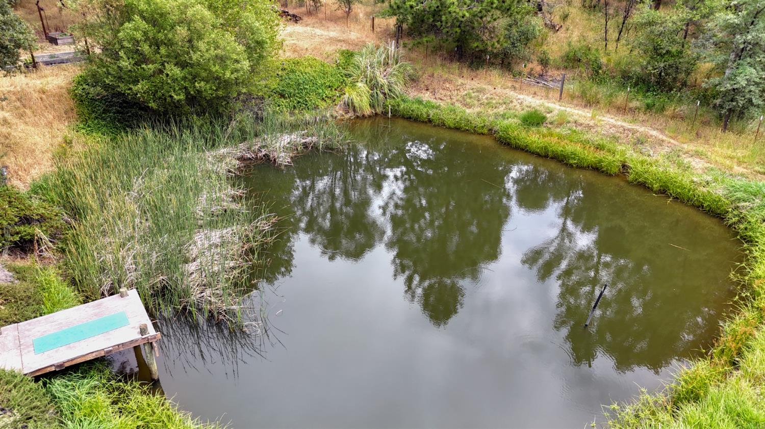 15655 Rough And Ready Highway Rough and Ready, CA 95975 - Photo 40 of 48 a view of lake