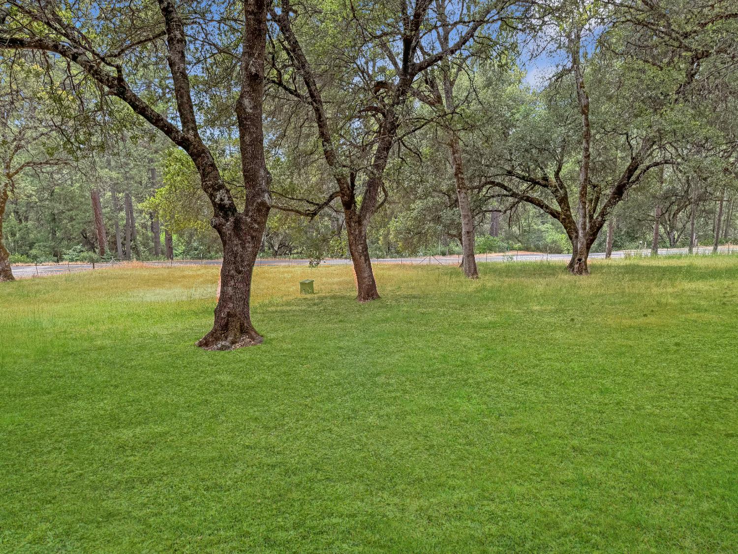15655 Rough And Ready Highway Rough and Ready, CA 95975 - Photo 4 of 48 a view of yard with trees