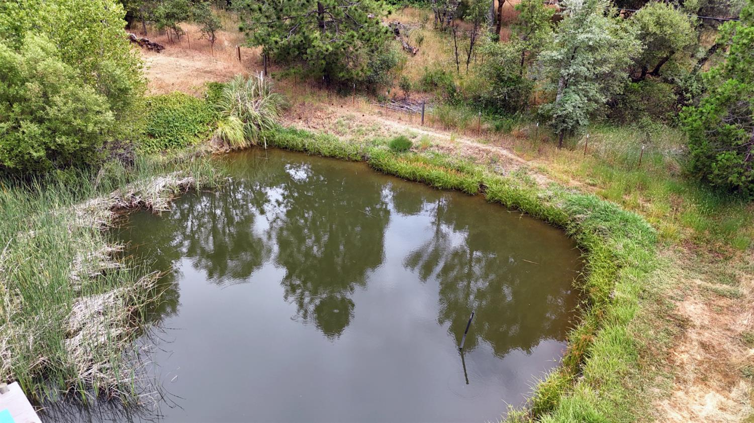 15655 Rough And Ready Highway Rough and Ready, CA 95975 - Photo 43 of 48 a view of lake