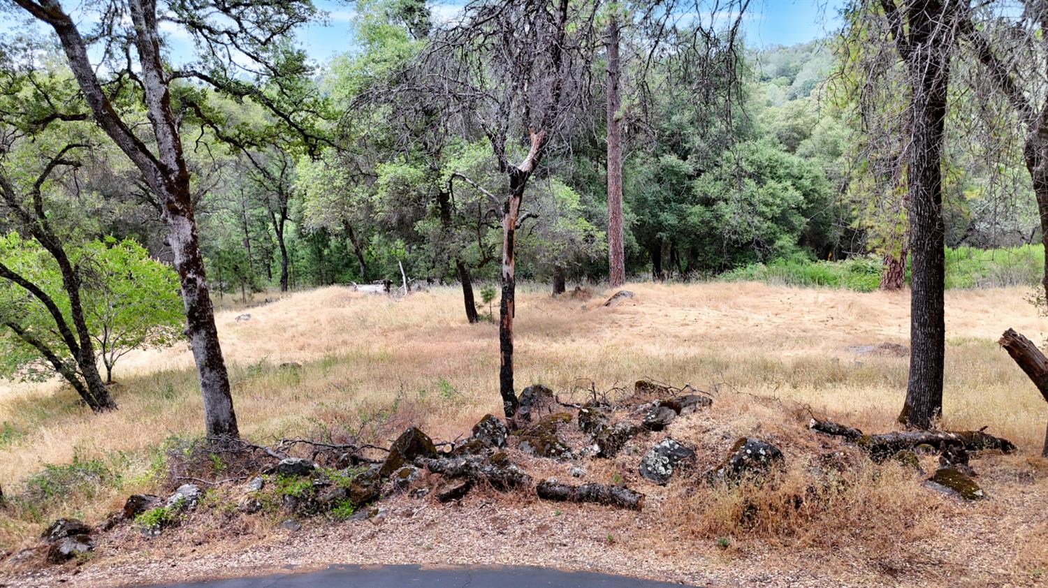15655 Rough And Ready Highway Rough and Ready, CA 95975 - Photo 44 of 48 a view of a yard with trees