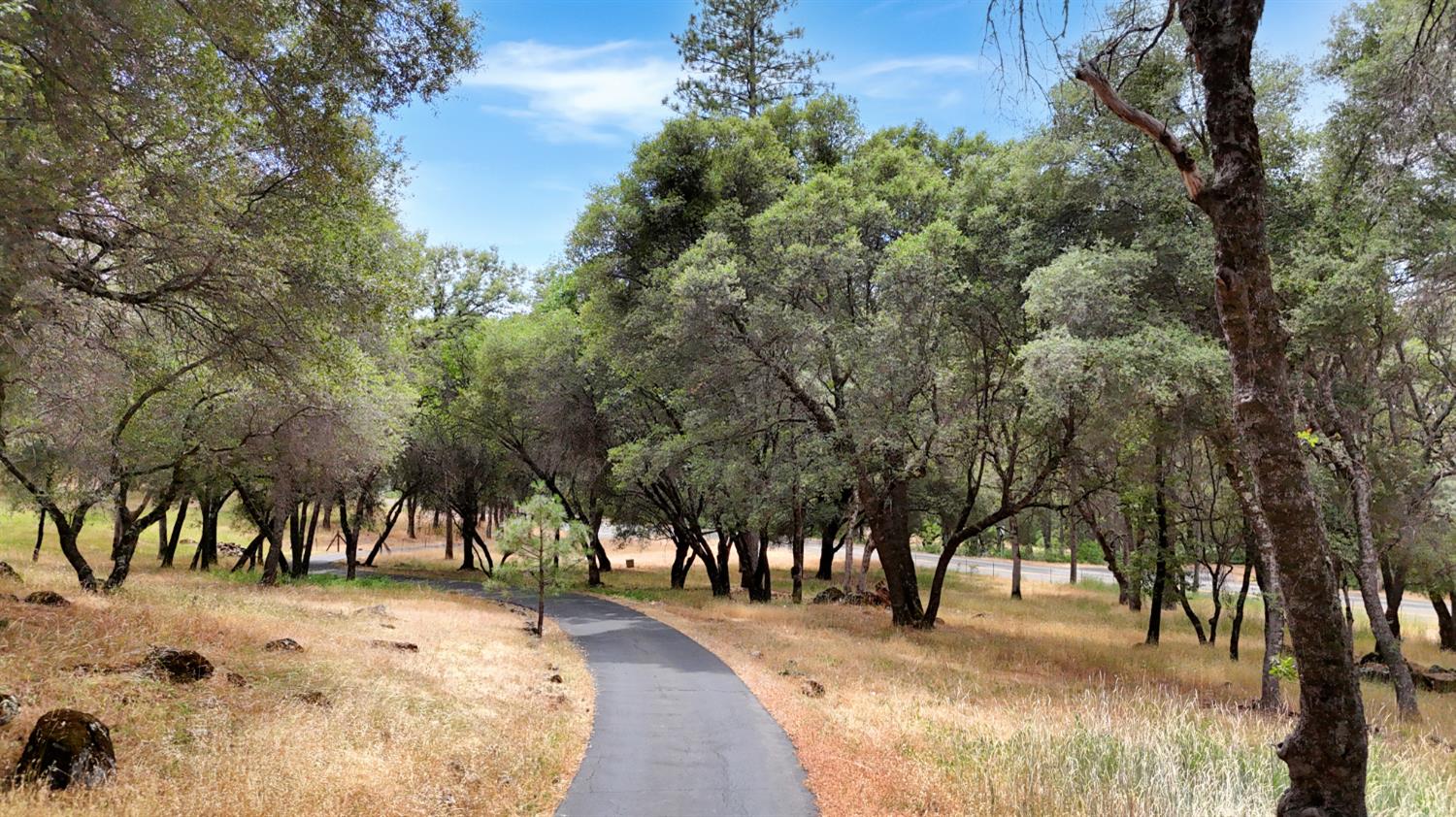 15655 Rough And Ready Highway Rough and Ready, CA 95975 - Photo 45 of 48 a view of a yard with trees