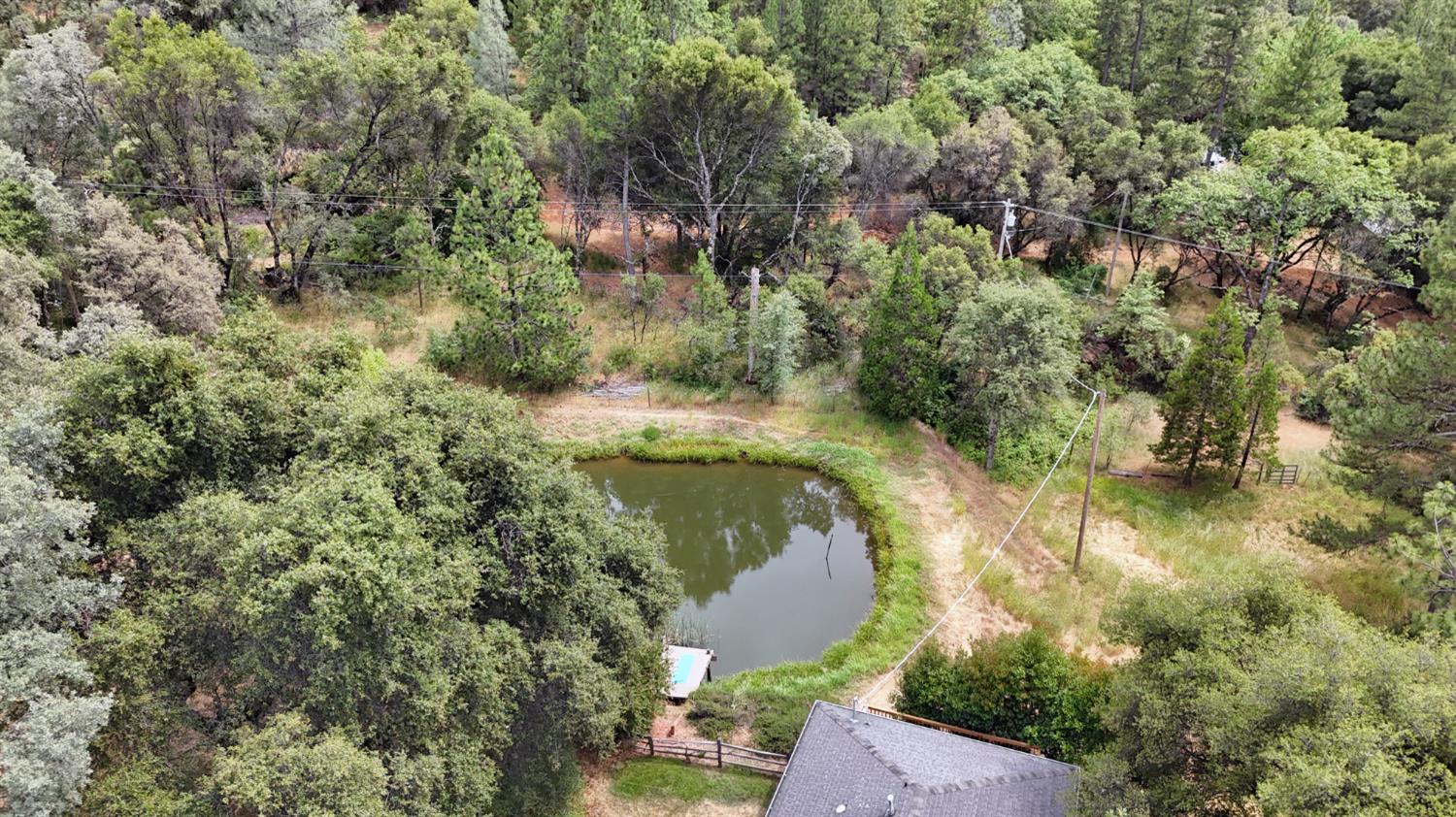 15655 Rough And Ready Highway Rough and Ready, CA 95975 - Photo 46 of 48 an aerial view of residential house with outdoor space and trees around