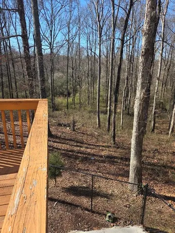 a view of a yard with large trees