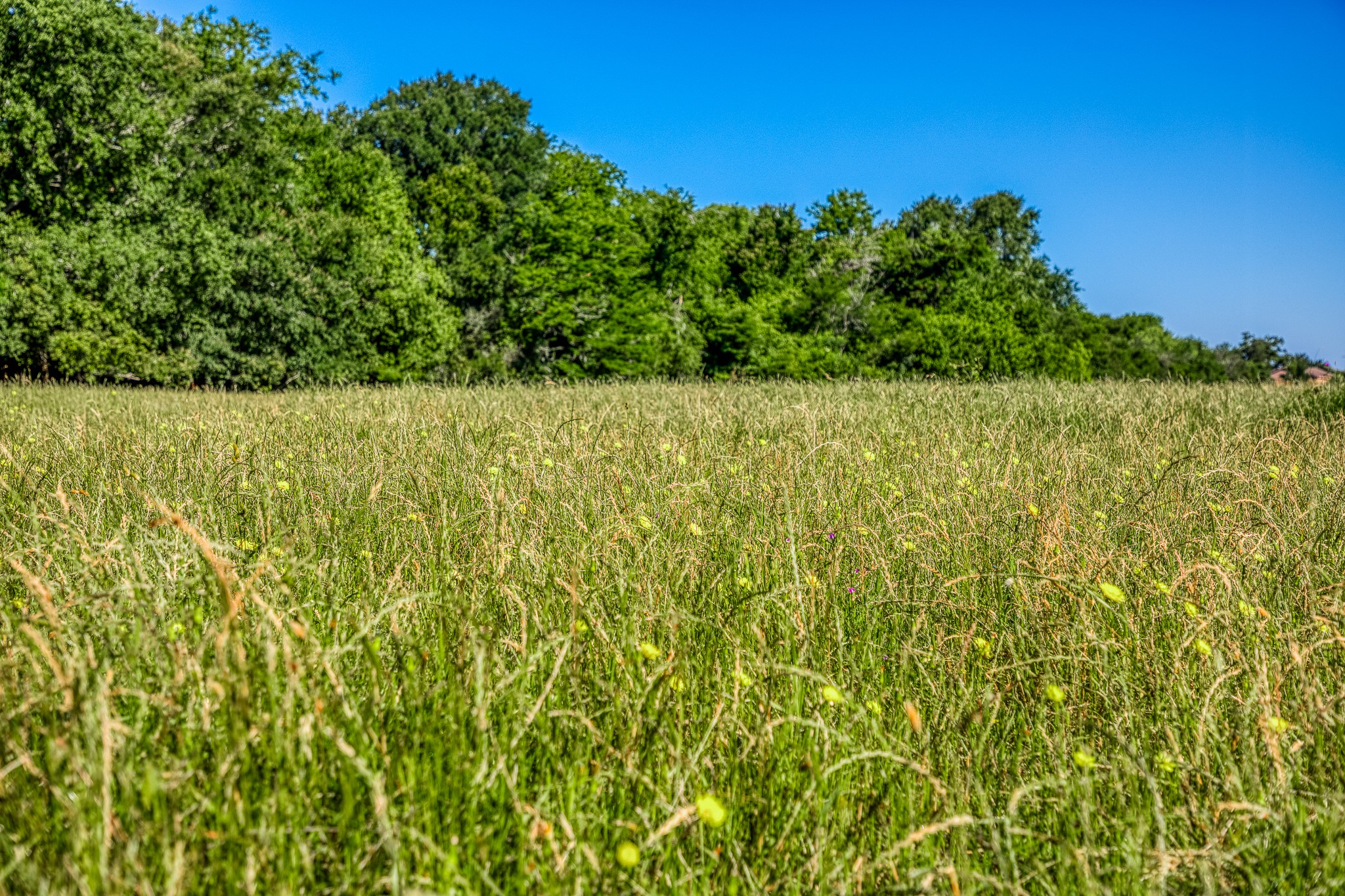 0 Flat Prairie Road Washington, TX 77880 - Photo 19 of 19