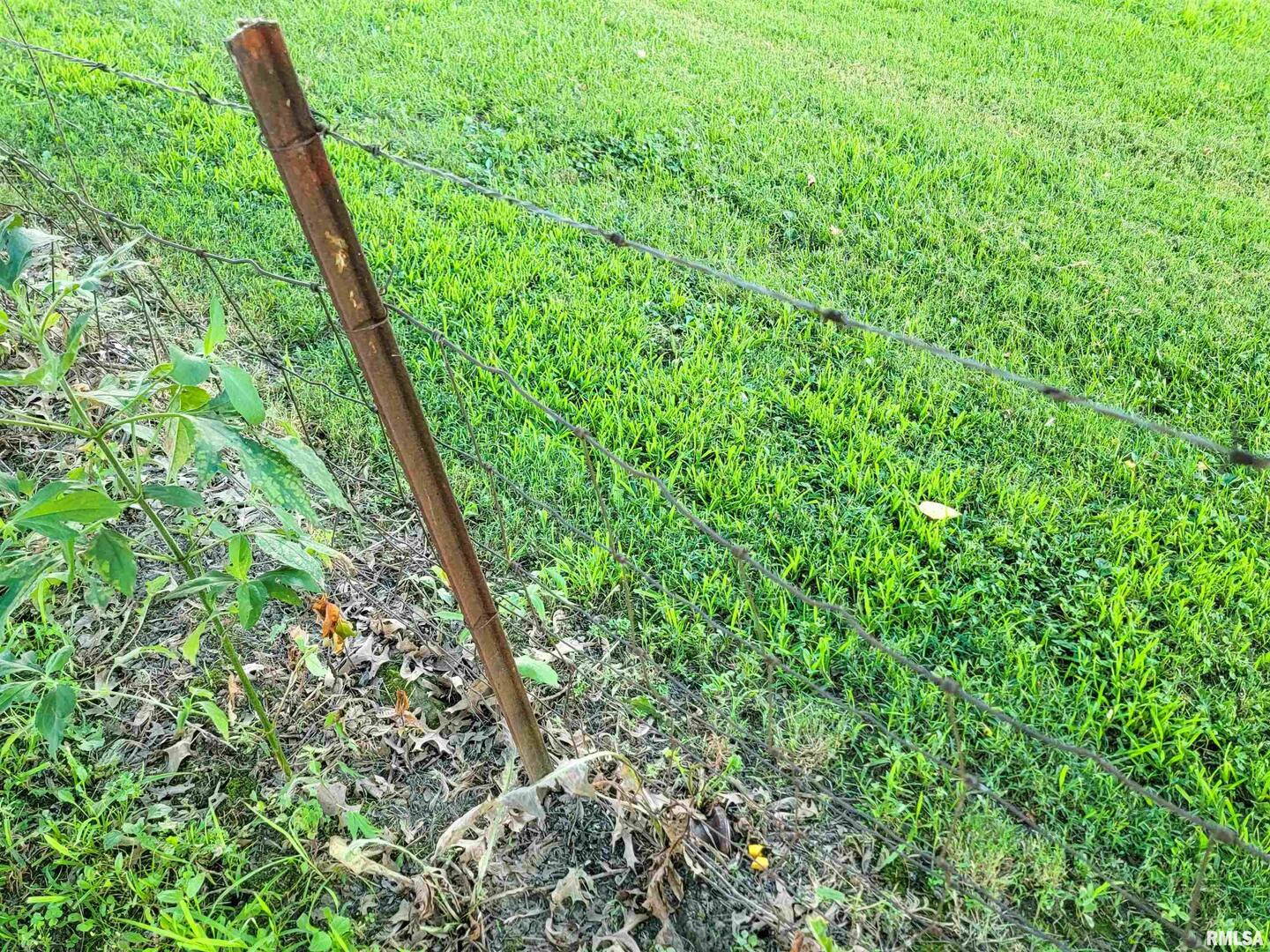 113 Mead Street Southwest Clay City, IL 62824 - Photo 58 of 61 a view of a lush green forest
