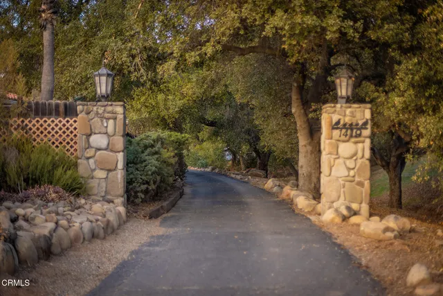 a view of a street with large trees