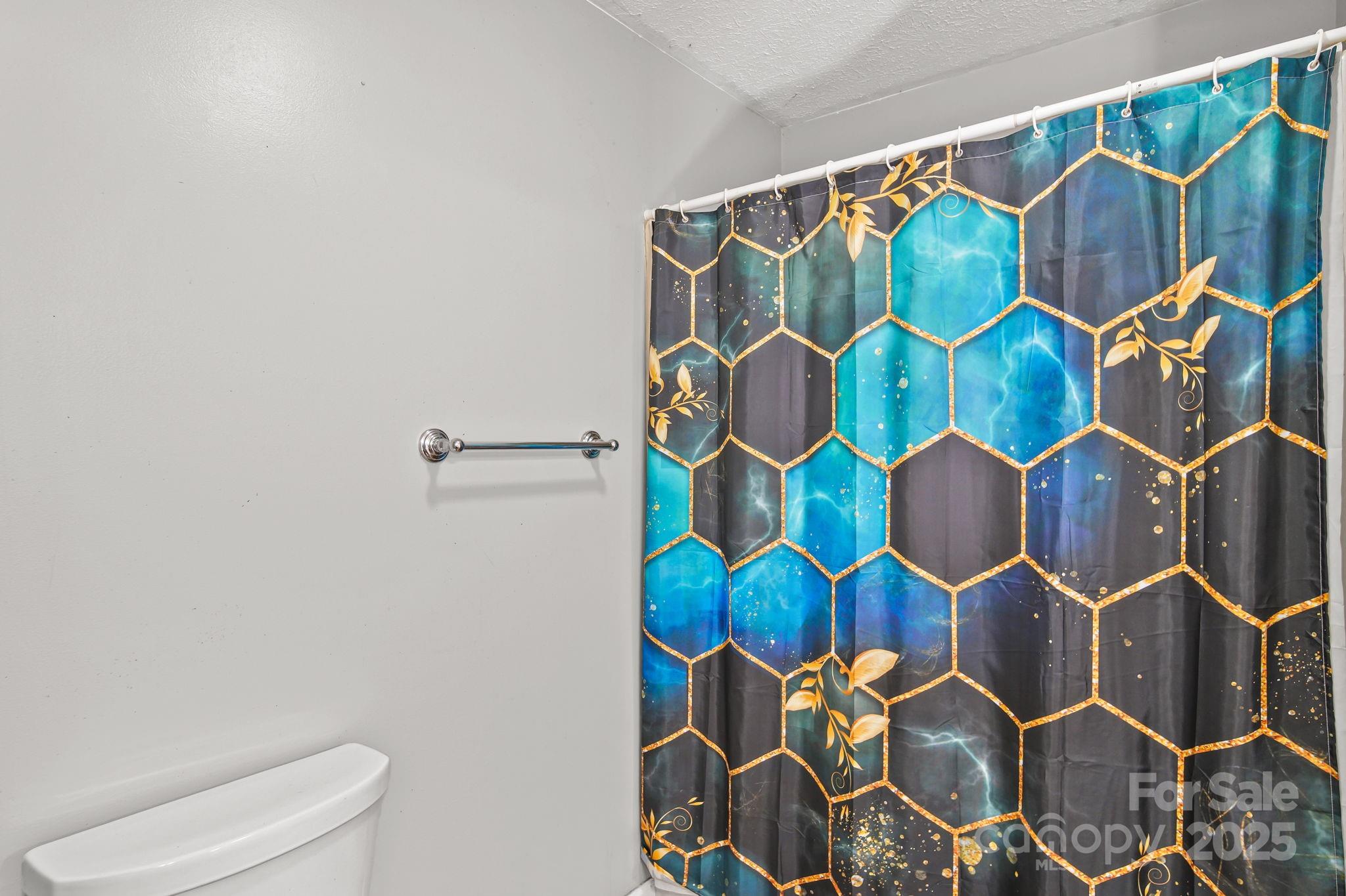 3405 Clarks Chapel Road Lenoir, NC 28645 - Photo 23 of 25 a bathroom with a mirror and a shower curtain