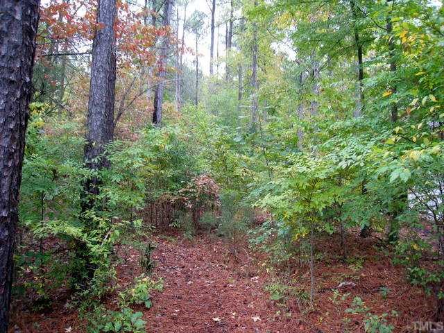 Lot 959 Stone Brook, Unit 959 Rembert, SC 29128 - Photo 2 of 12 a view of a large yard with lots of green space