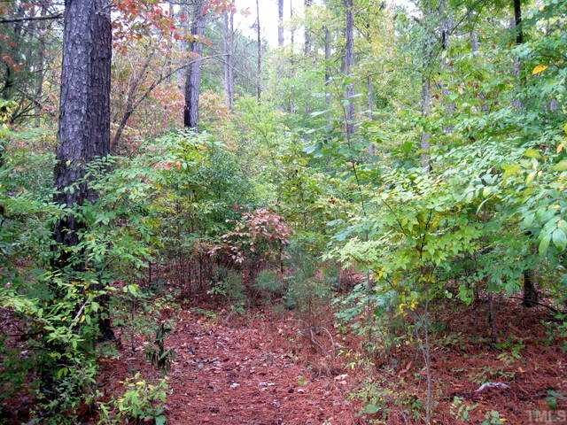 Lot 959 Stone Brook, Unit 959 Rembert, SC 29128 - Photo 3 of 12 a view of a garden with plants and trees