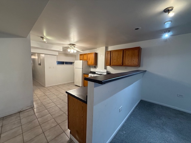 2228 West Warren Boulevard, Unit G Chicago, IL 60612 - Photo 6 of 19