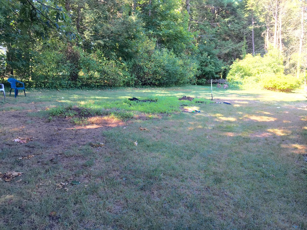 25 Wyman Road Lexington, MA 02420 - Photo 4 of 7 a view of a park with large trees