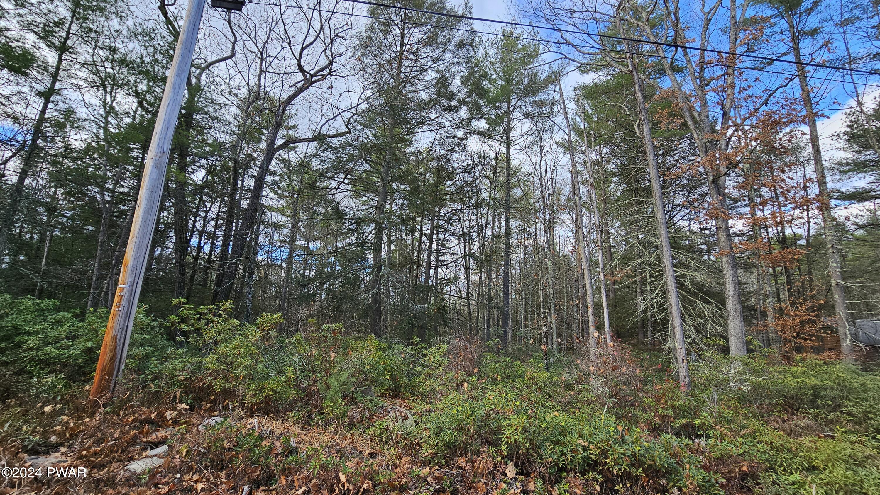 Lot 59 Perry Pond Road Narrowsburg, NY 12764 - Photo 7 of 14 20241111_140745
