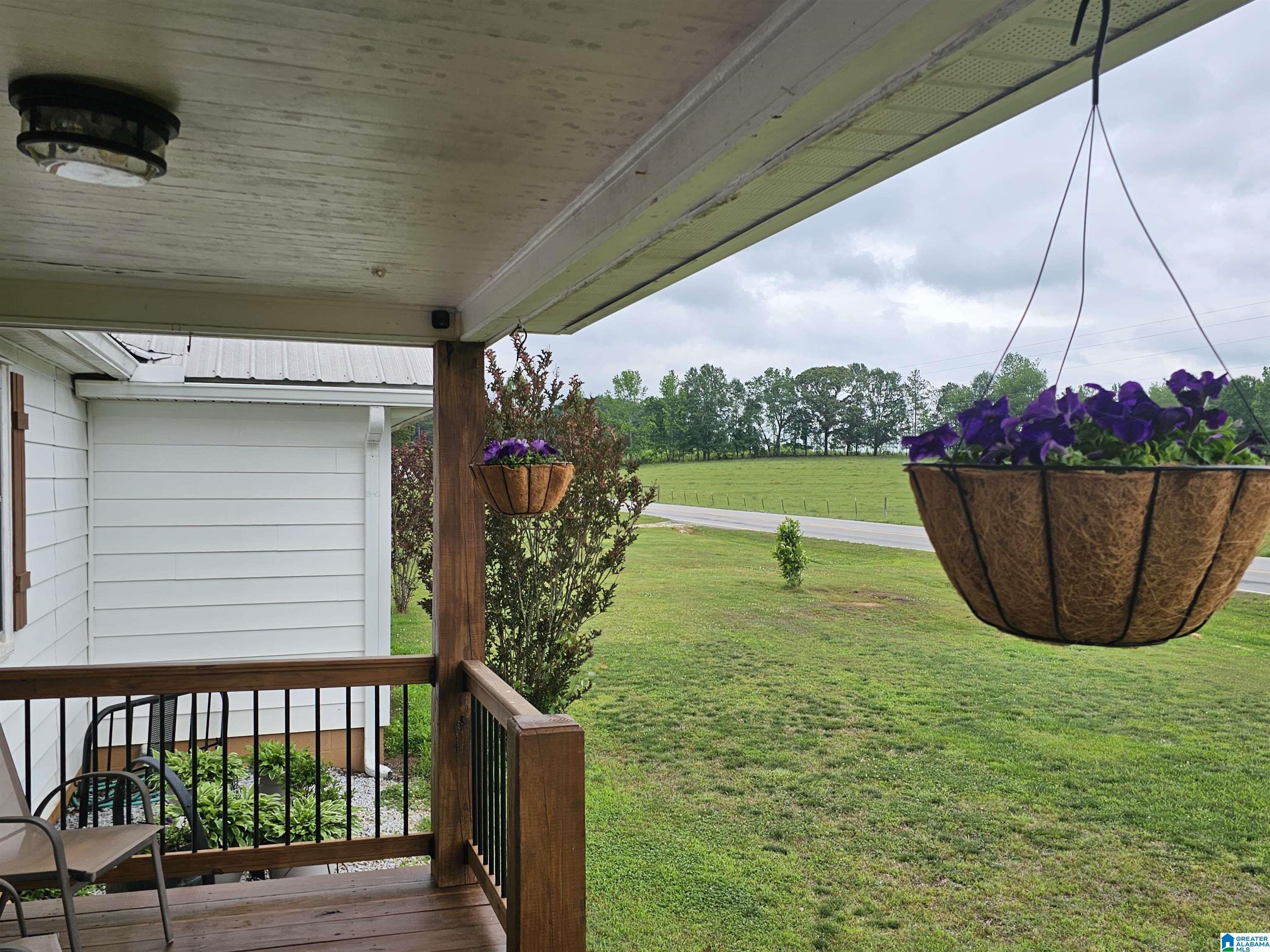 23691 County Road 87 Graham, AL 36263 - Photo 4 of 37