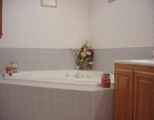4390 Harborwood Road Salem, VA 24153 - Photo 2 of 5 Listing Photo