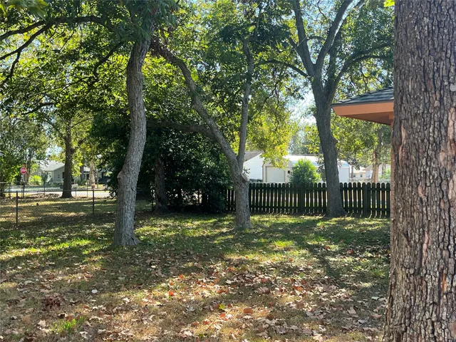 a view of a trees in a yard with large trees