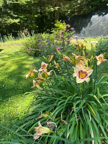 $550,000 | 39 Tilton Pond Road, Fayette, ME 04349