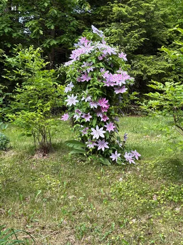 $550,000 | 39 Tilton Pond Road, Fayette, ME 04349