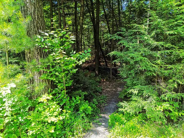 $550,000 | 39 Tilton Pond Road, Fayette, ME 04349