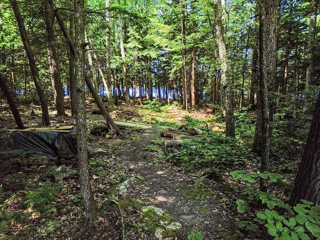 $550,000 | 39 Tilton Pond Road, Fayette, ME 04349