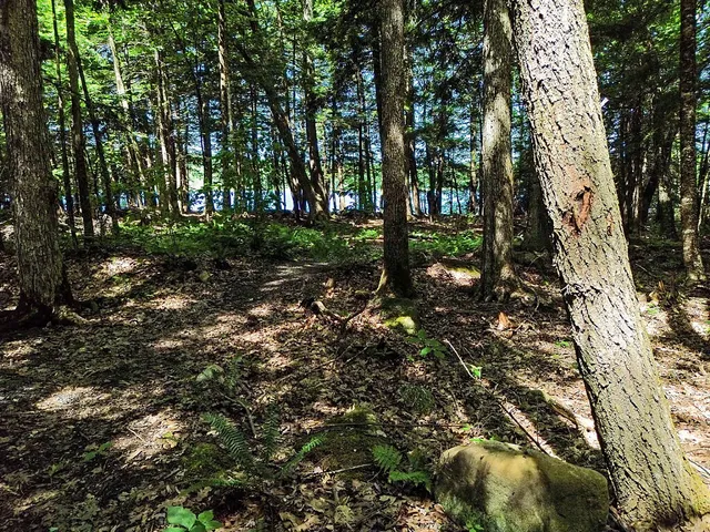 $550,000 | 39 Tilton Pond Road, Fayette, ME 04349