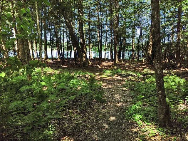 $550,000 | 39 Tilton Pond Road, Fayette, ME 04349