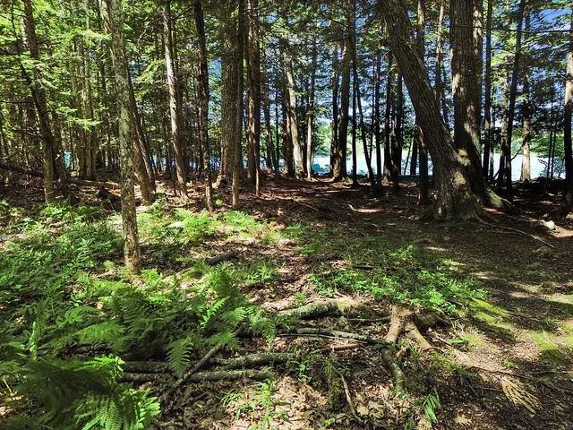 $550,000 | 39 Tilton Pond Road, Fayette, ME 04349