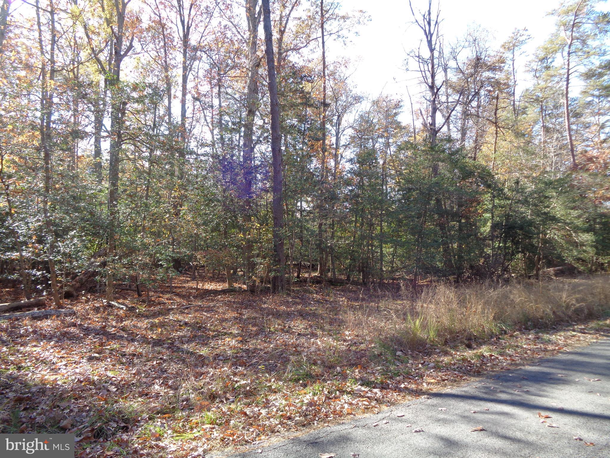 106 Smith Point Road Nanjemoy, MD 20662 - Photo 1 of 9 Gallery Image 1