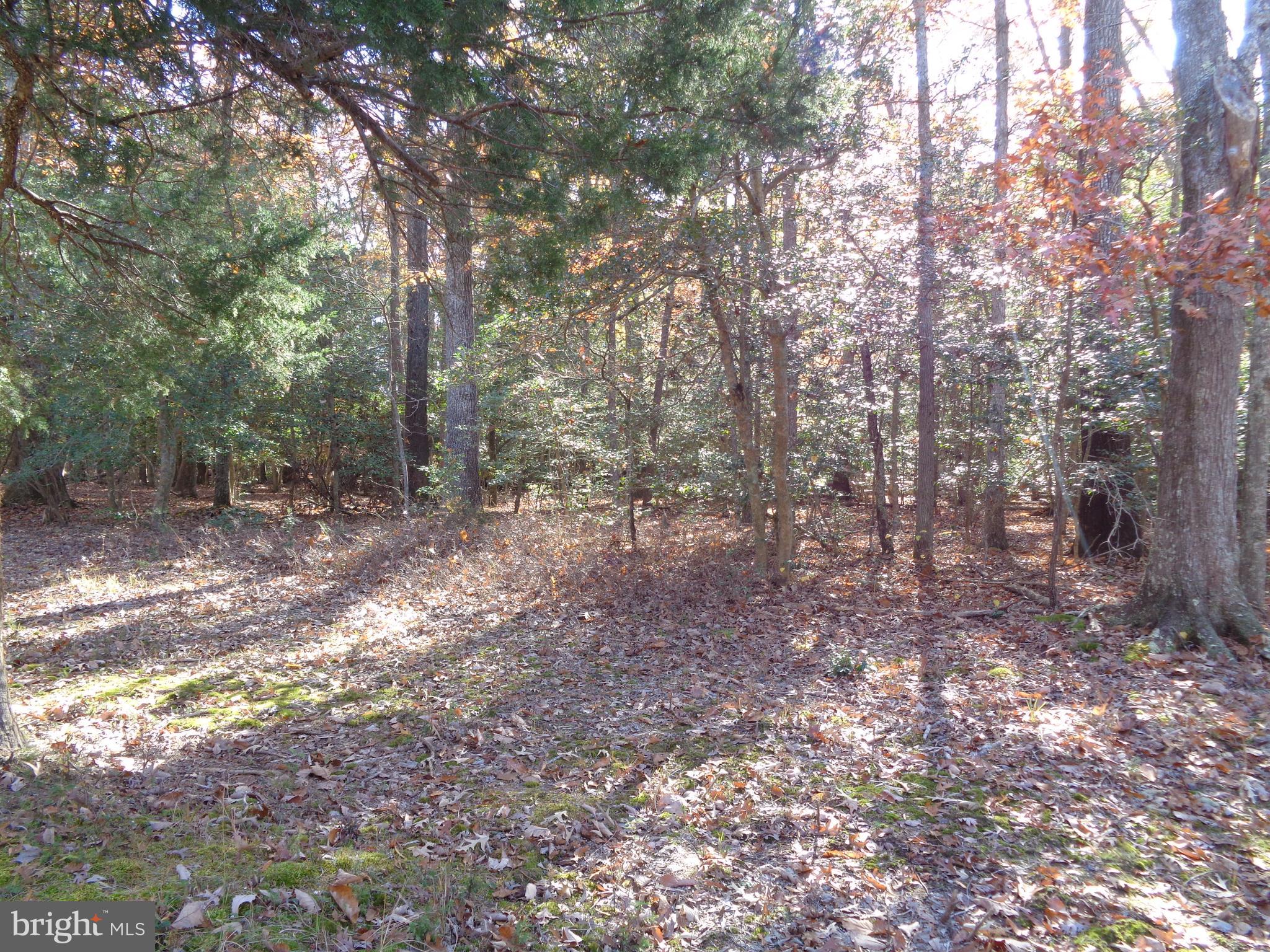 106 Smith Point Road Nanjemoy, MD 20662 - Photo 2 of 9 Gallery Image 2