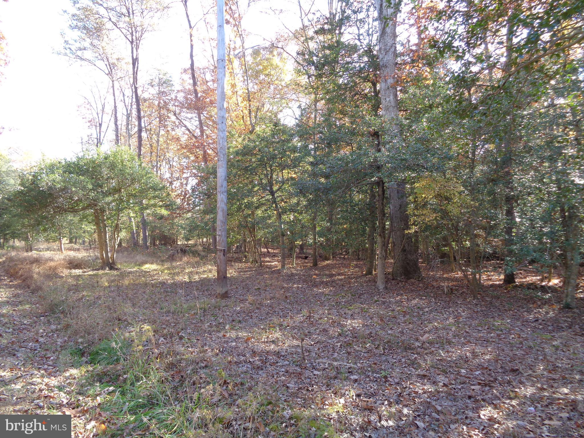 106 Smith Point Road Nanjemoy, MD 20662 - Photo 3 of 9 Gallery Image 3