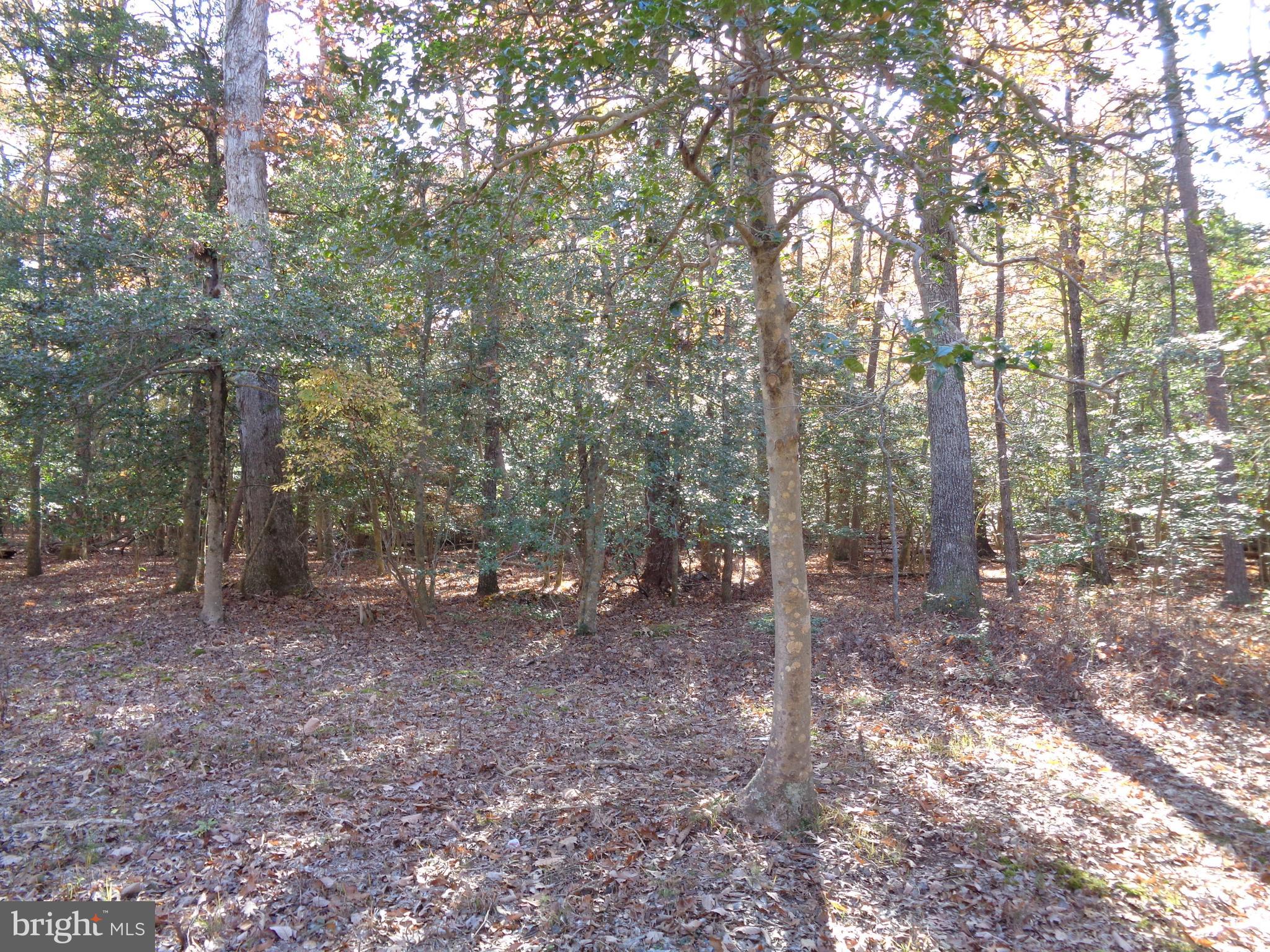 106 Smith Point Road Nanjemoy, MD 20662 - Photo 4 of 9 Gallery Image 4