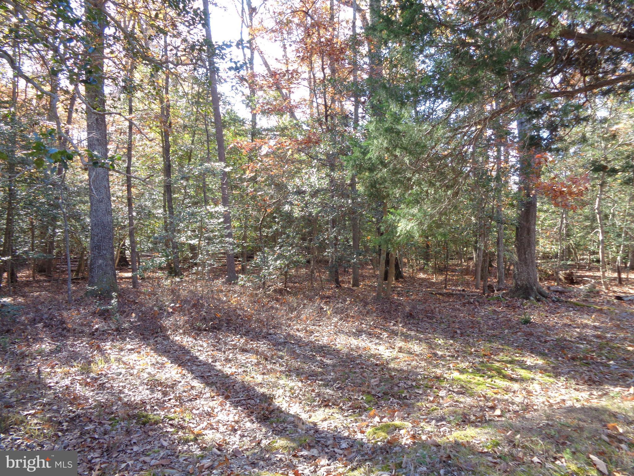 106 Smith Point Road Nanjemoy, MD 20662 - Photo 5 of 9 Gallery Image 5