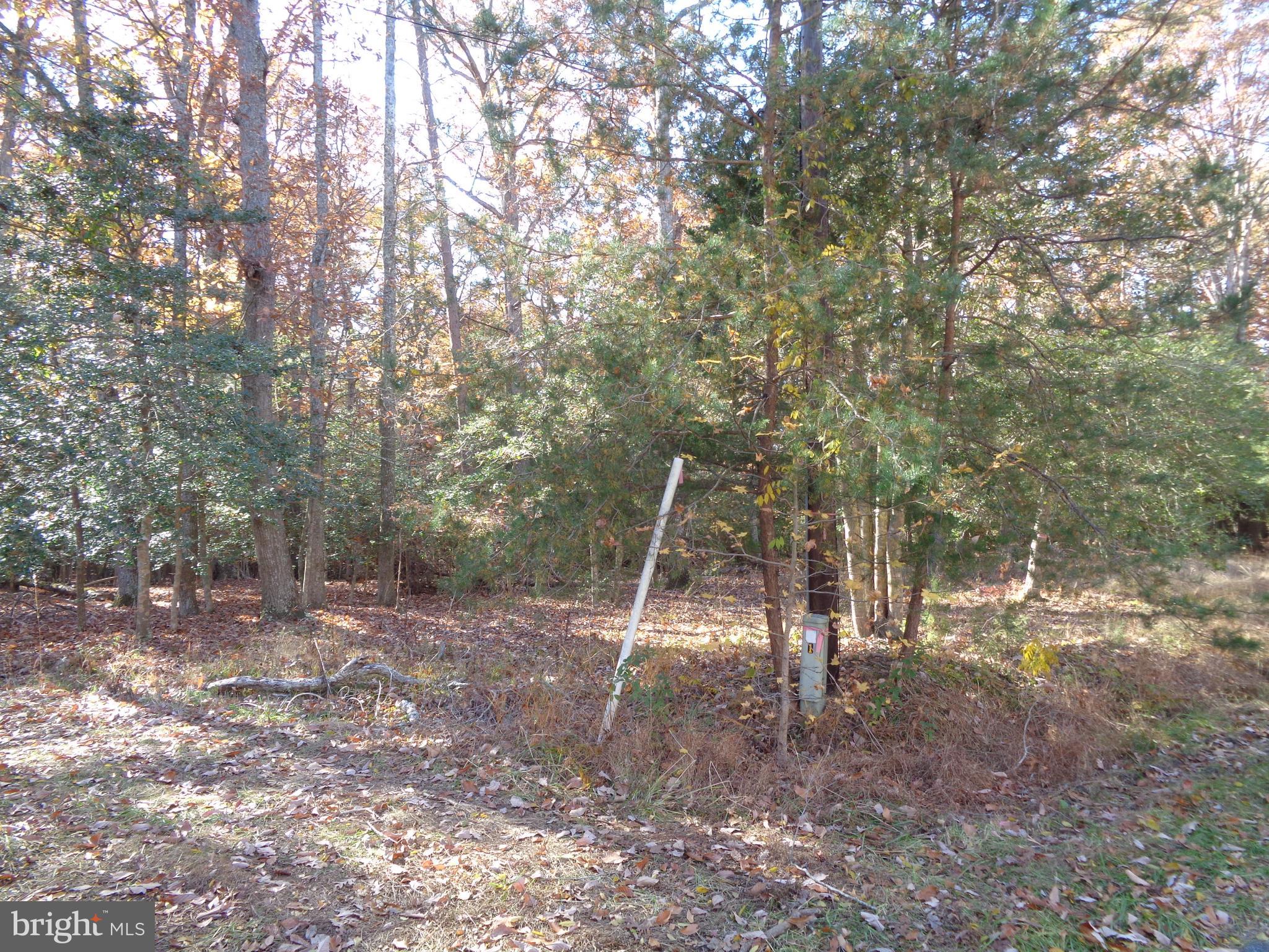 106 Smith Point Road Nanjemoy, MD 20662 - Photo 6 of 9 Gallery Image 6