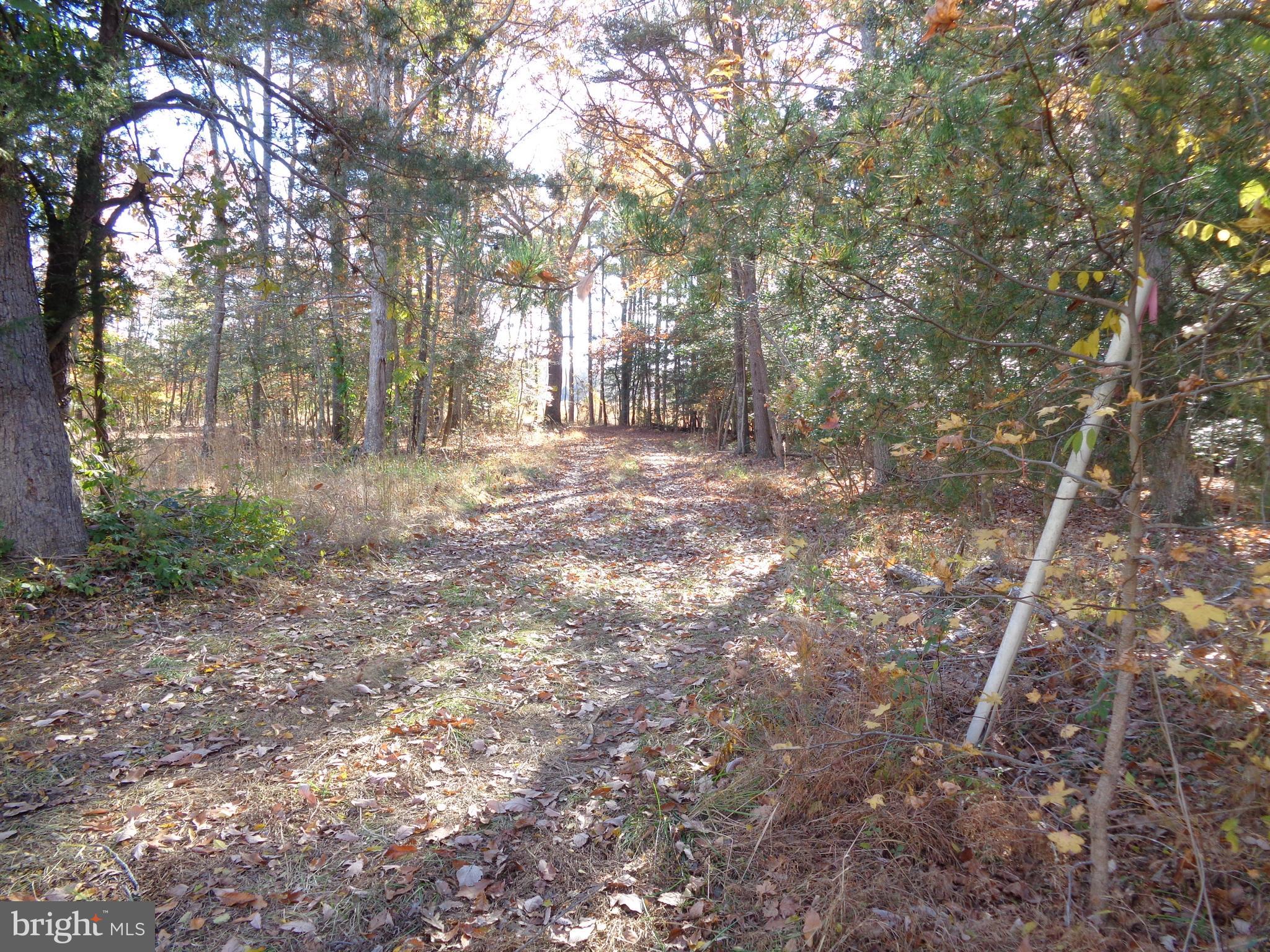 106 Smith Point Road Nanjemoy, MD 20662 - Photo 7 of 9 Gallery Image 7