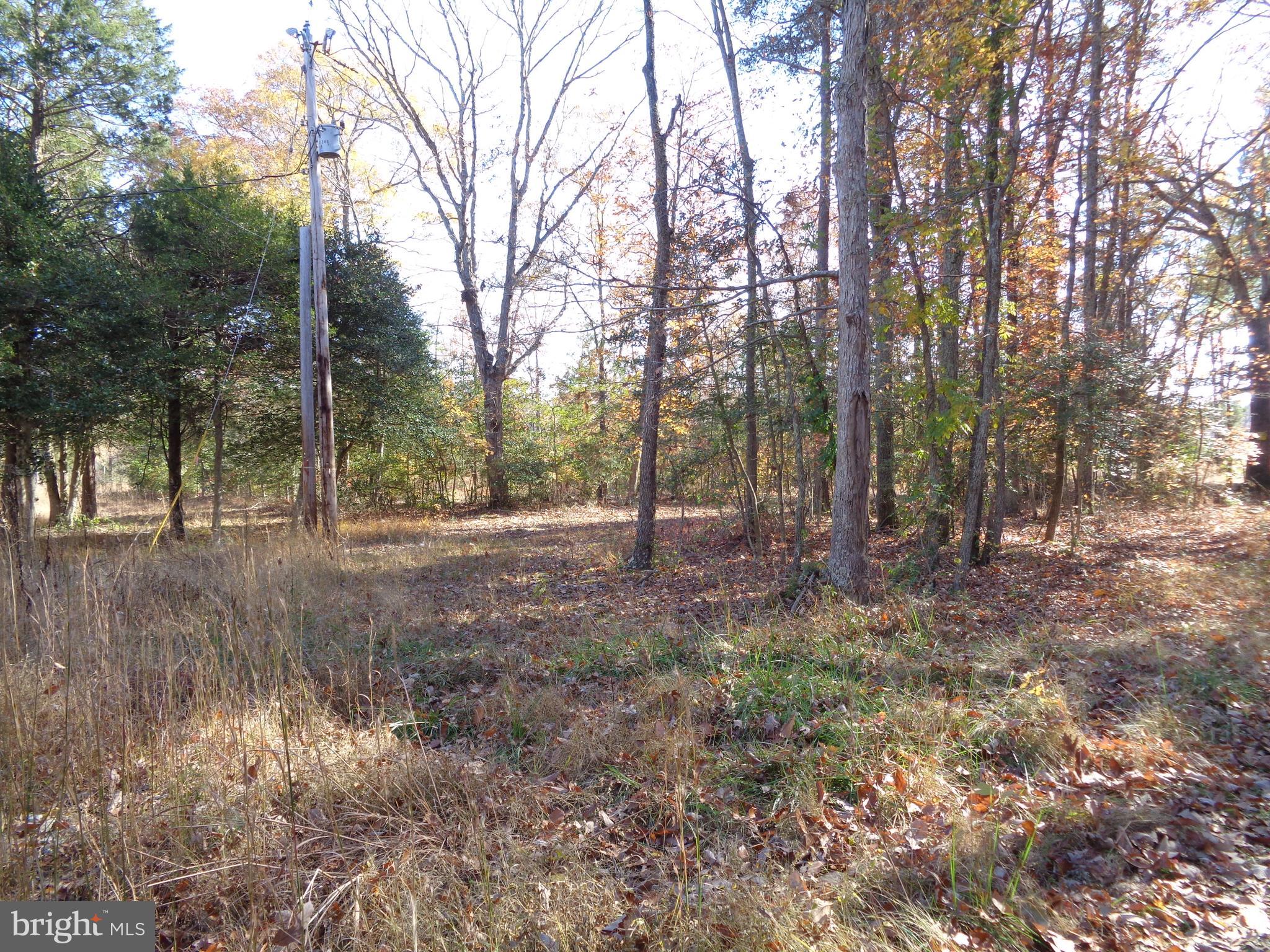 106 Smith Point Road Nanjemoy, MD 20662 - Photo 8 of 9 Gallery Image 8