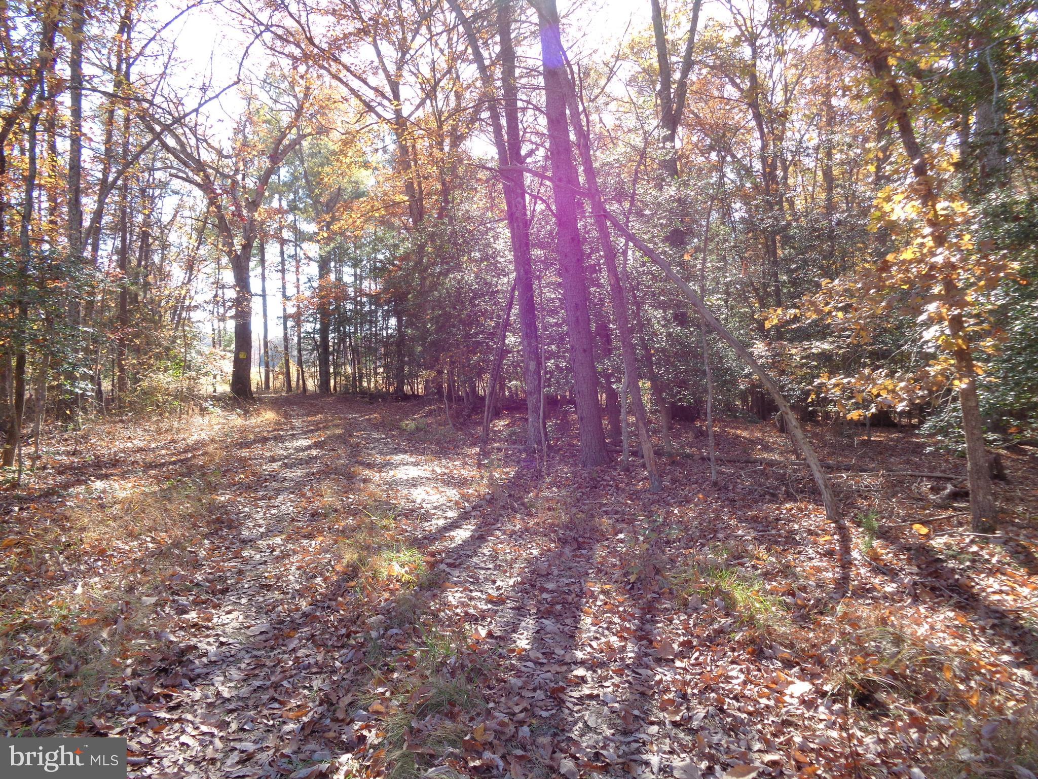 106 Smith Point Road Nanjemoy, MD 20662 - Photo 9 of 9 Gallery Image 9