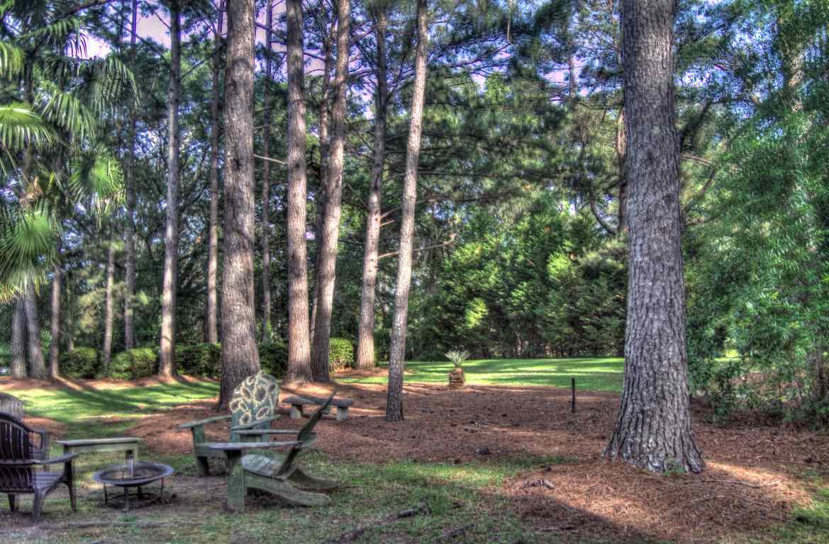 7780 Preservation Road Tallahassee, FL 32312 - Photo 8 of 25 Gallery Image 8