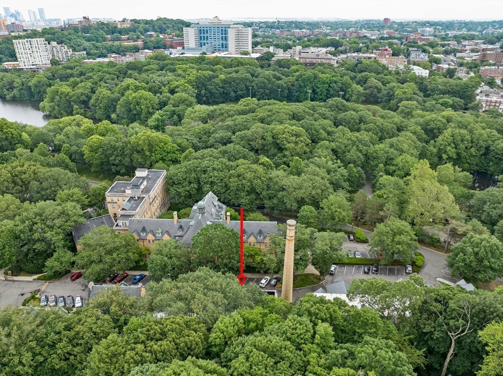 81 Glen Road, Unit S2 Brookline, MA 02445 - Photo 38 of 42