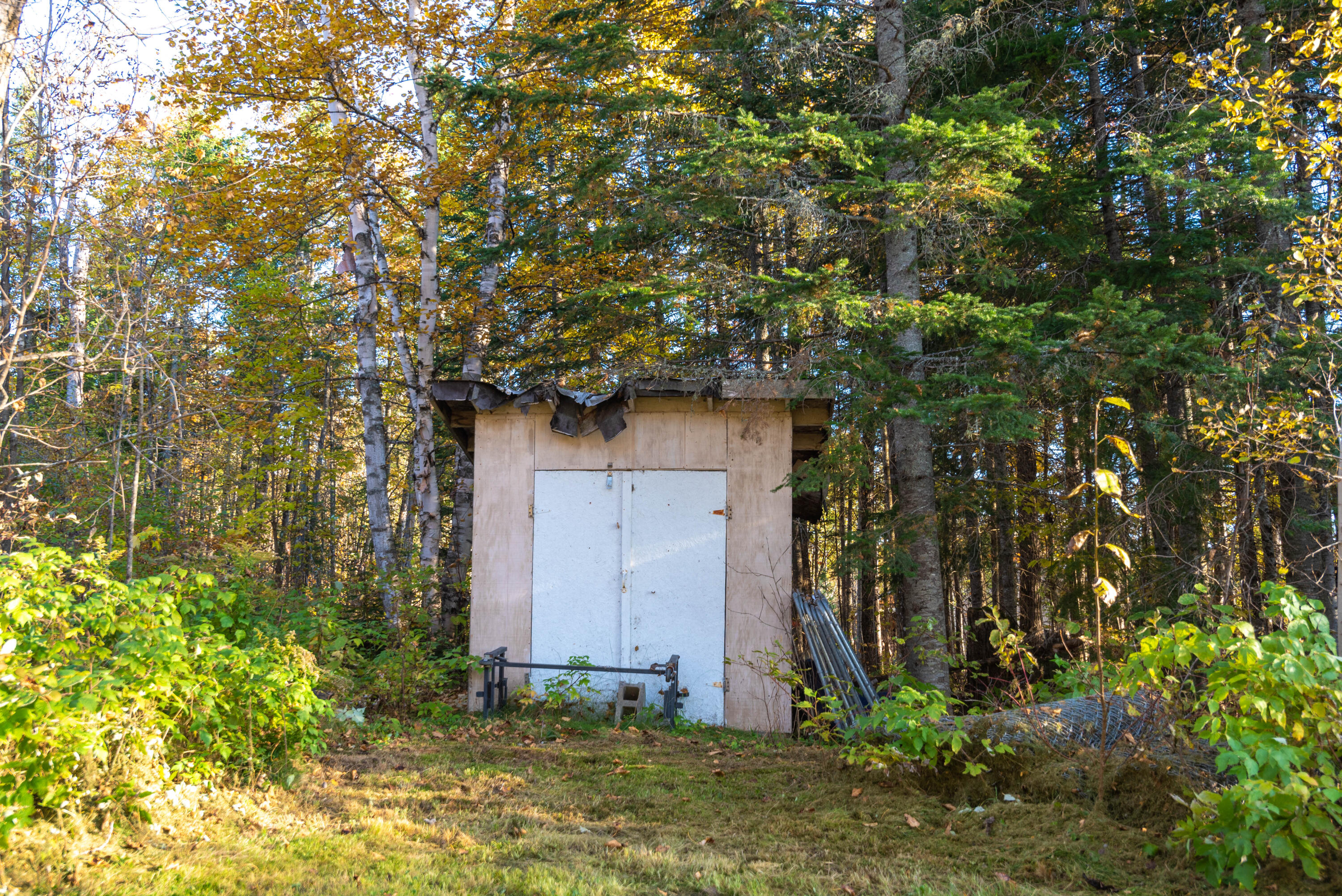 836 Lake Shore Road St. David, ME 04773 - Photo 19 of 51 DSC_0537