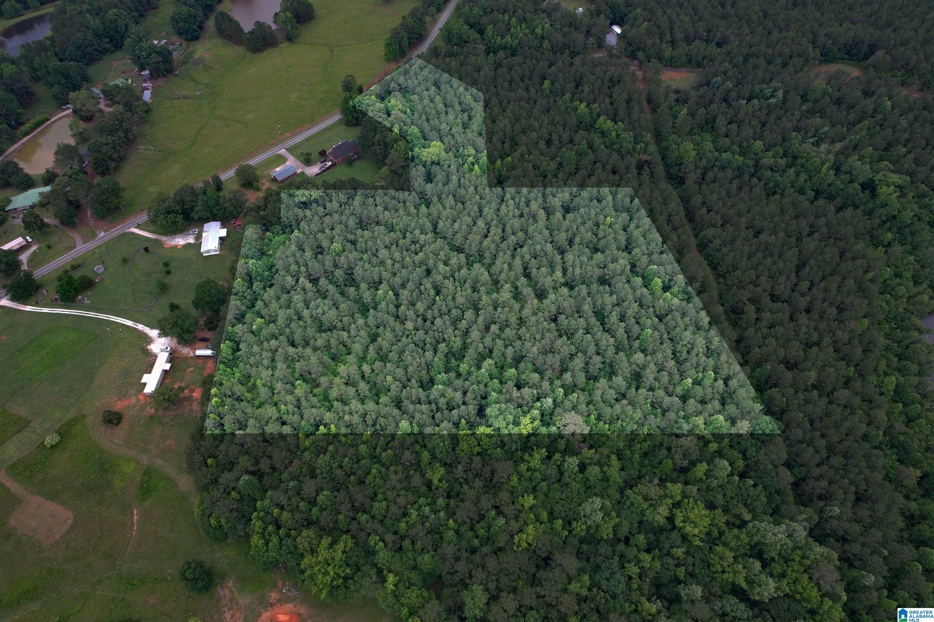 0 Houston Road Sylacauga, AL 35151 - Photo 16 of 32