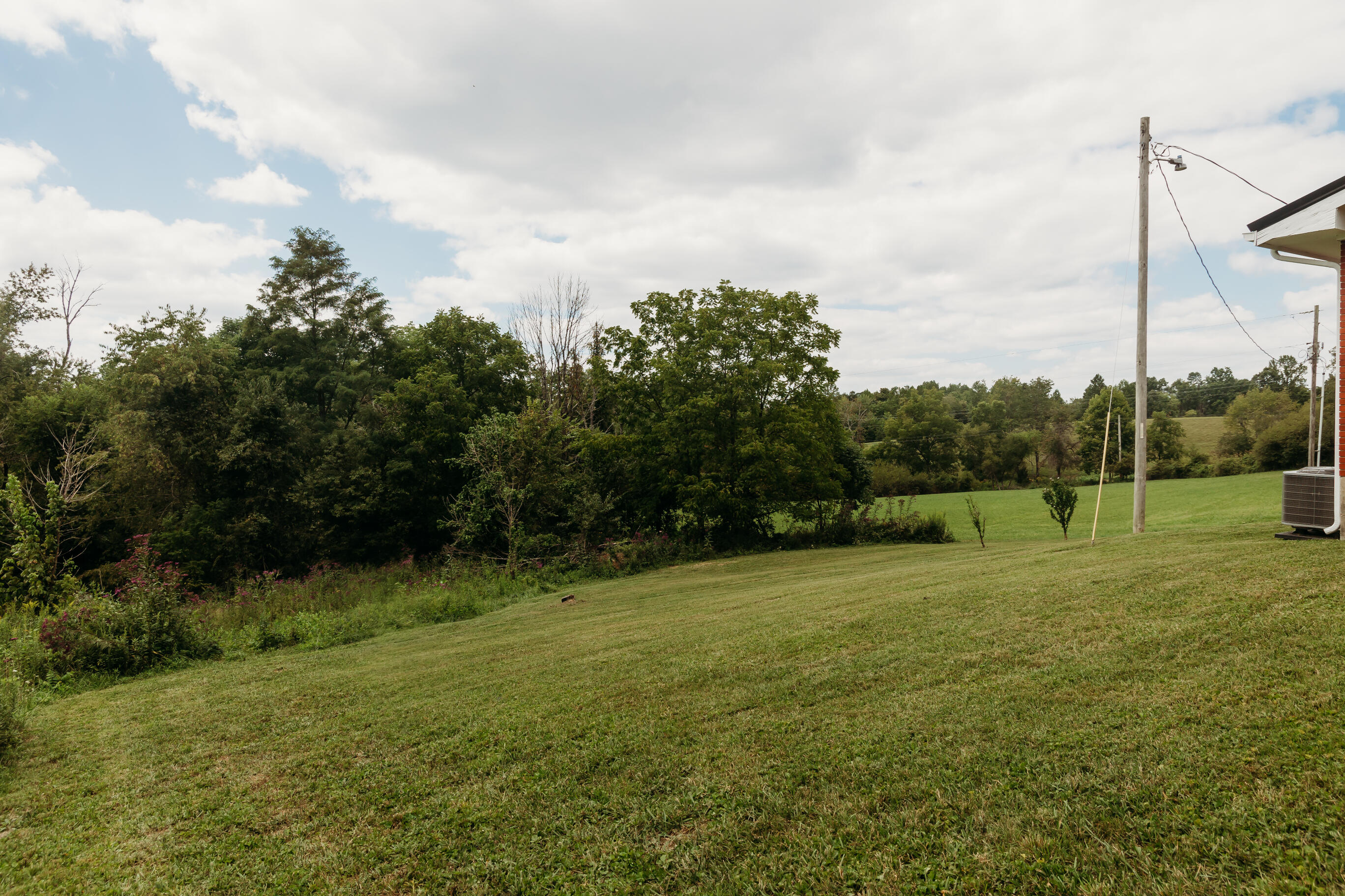 2223 Tarr Ridge Road Frenchburg, KY 40322 - Photo 33 of 34 FO7A9555