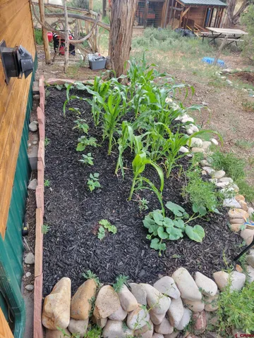 a view of a street with potted plants and large trees