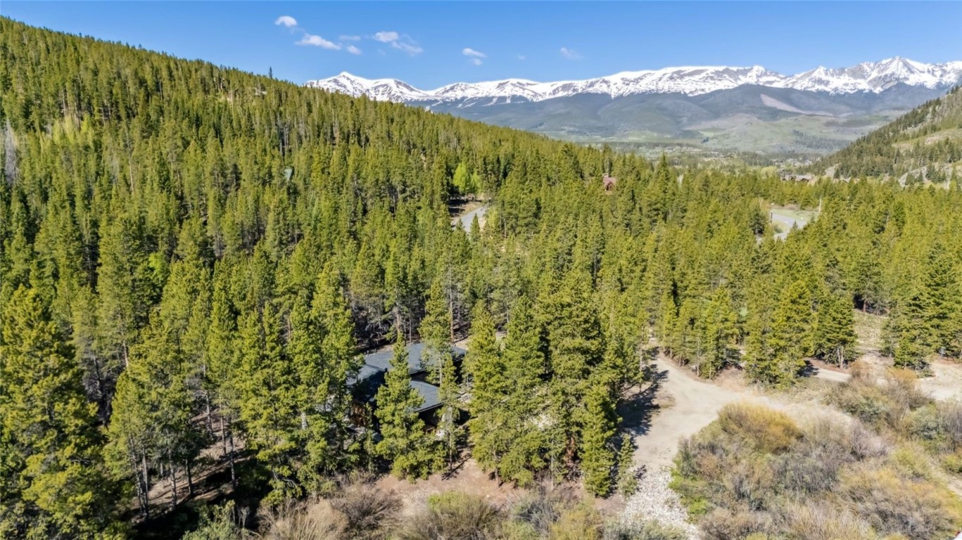 2383 Tiger Road Breckenridge, CO 80424 - Photo 28 of 43