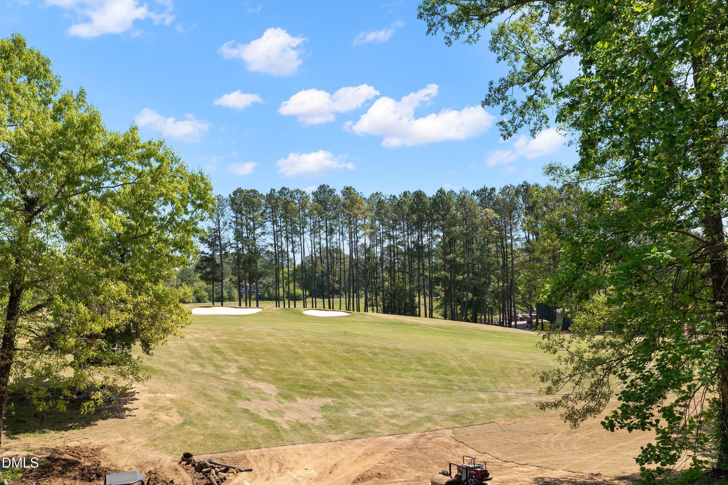 12554 Village Springs Road Raleigh, NC 27614 - Photo 79 of 95 118-12554 Village Spring _1419
